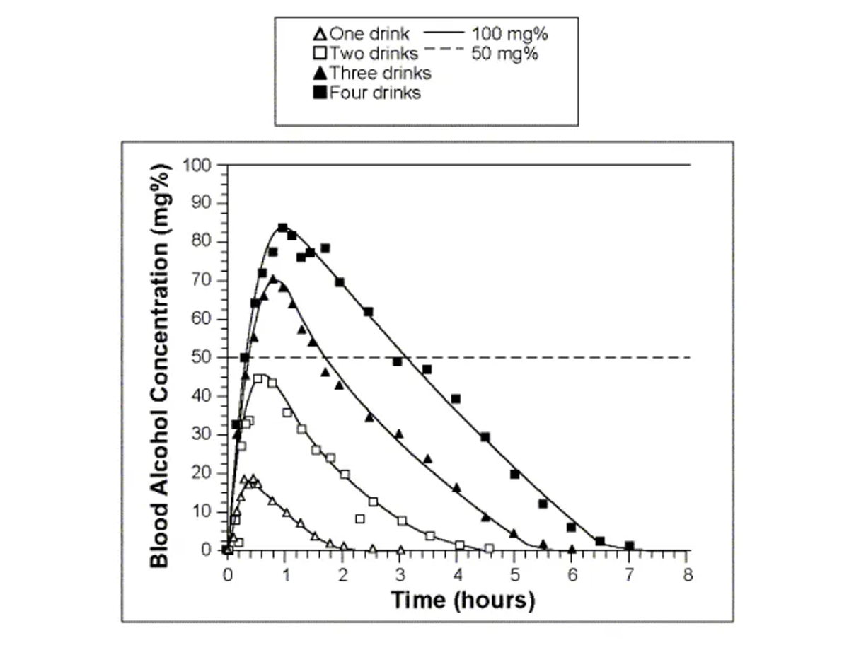 혈중알코올농도의 상승기