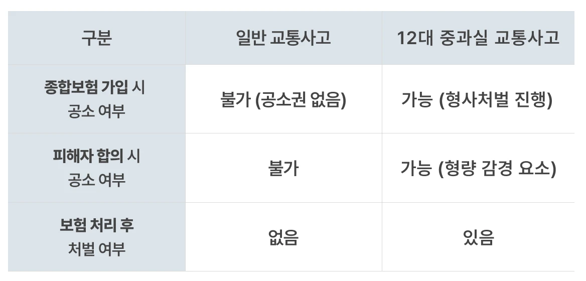 12대 중과실 보험처리 공소여부 처벌여부 등 상황에 따른 결과가 나타난 인포그래픽 표