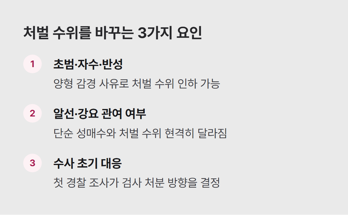 처벌을 줄이는 데 실제로 영향을 주는 요인 3가지 리스트 요약 이미지