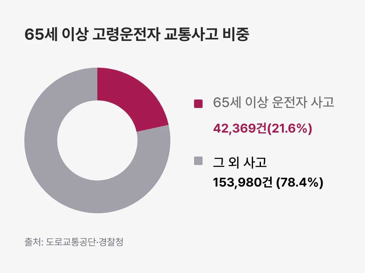 고령운전자교통사고비중 고령운전자교통사고비중